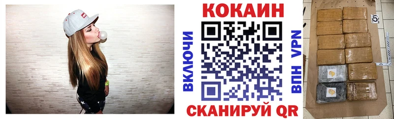 купить наркоту  Нижняя Салда  MEGA как войти  Кокаин Fish Scale 