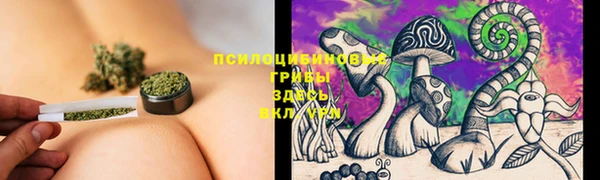 PSILOCYBIN Алексеевка