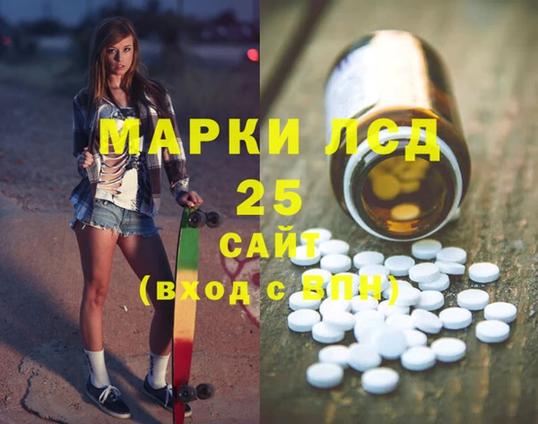 прущие грибы Покровск