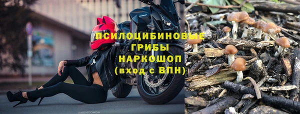 винт Покачи