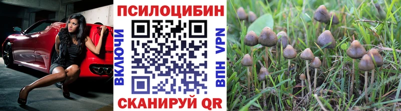 Псилоцибиновые грибы MAGIC MUSHROOMS  даркнет формула  Нижняя Салда  omg онион 
